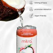 Mitra9 Kava Seltzer promo shot