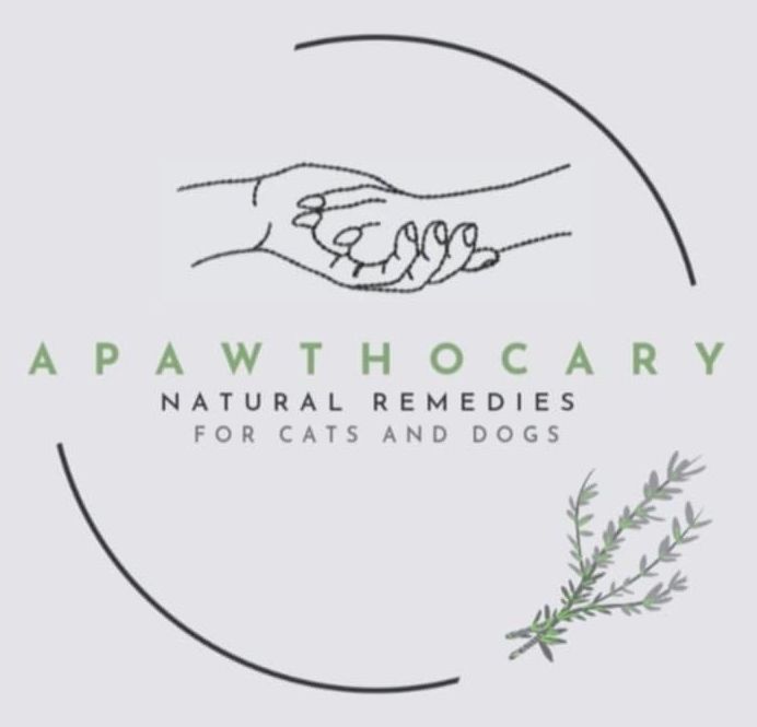 Apawthocary