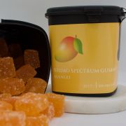 Broad Spectrum CBD Gummies 25 ct. Mango 100mg