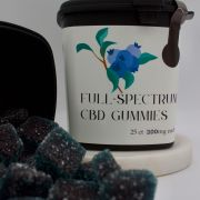 Full Spectrum CBD Gummies 25 ct. 100MG