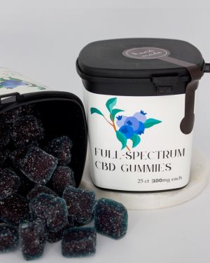 Full Spectrum CBD Gummies 25 ct. 100MG